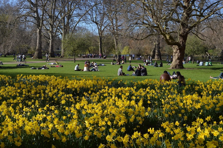 Глобальное потепление ускорило рост цветов в Великобритании